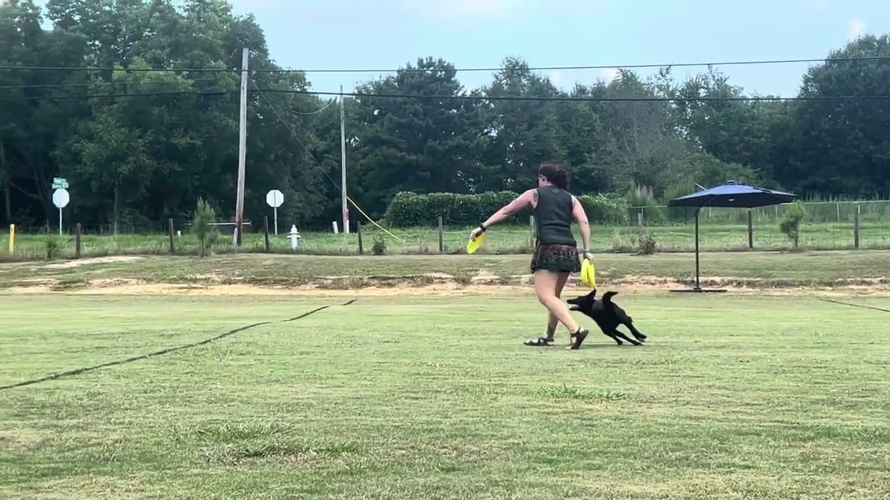 Andrea Morrissette and Capiche - GA USDDN Qualifier