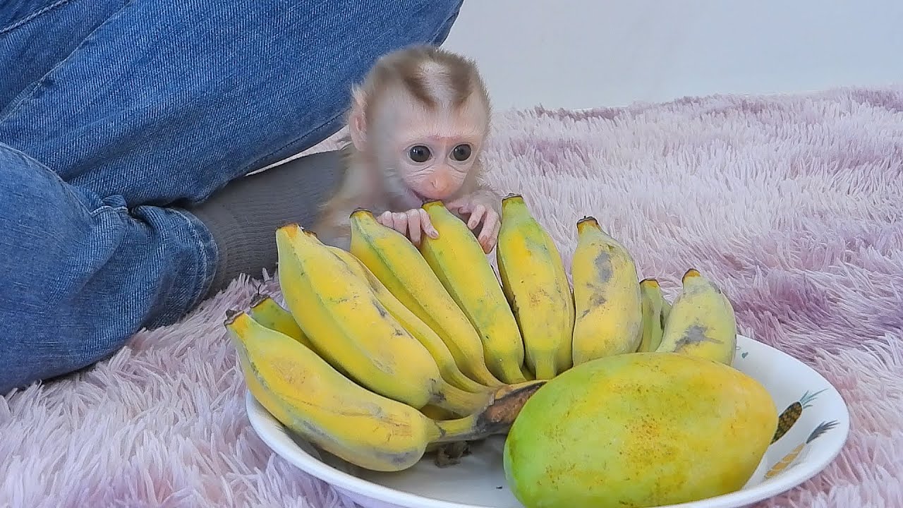 Adorable Daughter Valen Eating Yummy Banana Fruit
