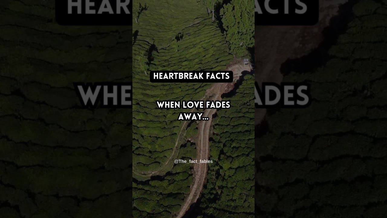 Psychology Facts About Heartbreak and Love #shorts #facts