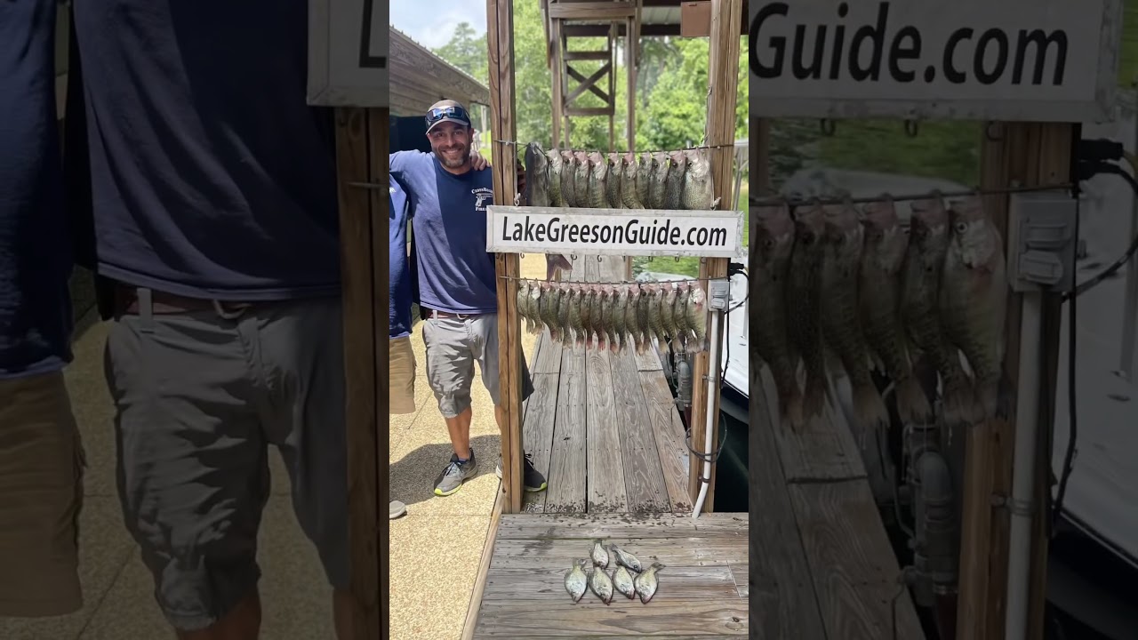 #crappie #fishing #blackcrappie