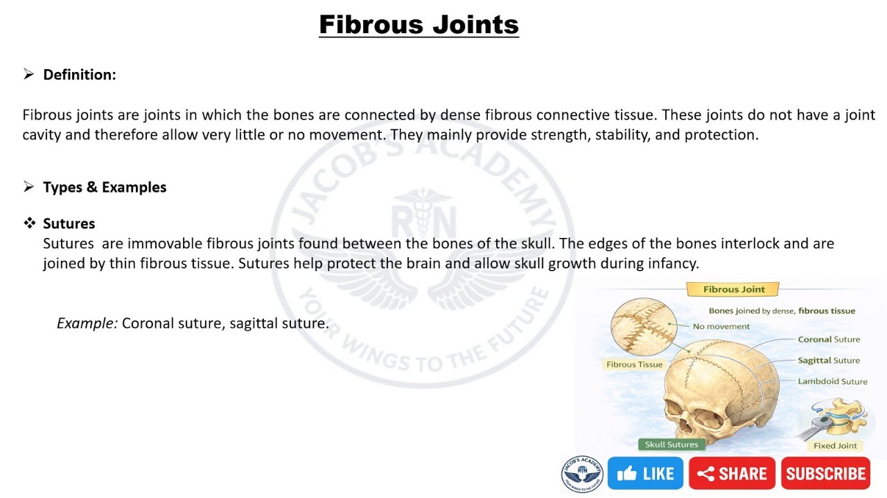 Fibrous Joints Explained | Types, Examples & Nursing Importance | Anatomy for Nurses