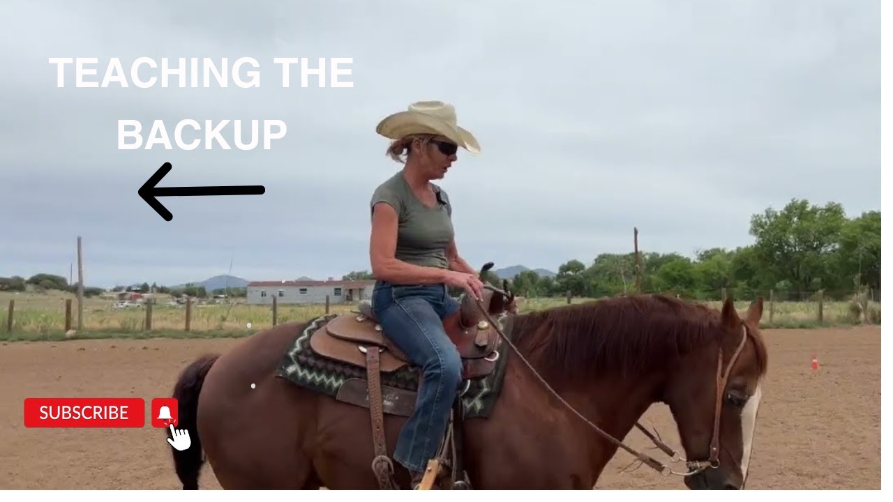 Teaching Your Horse to Backup is Crucial