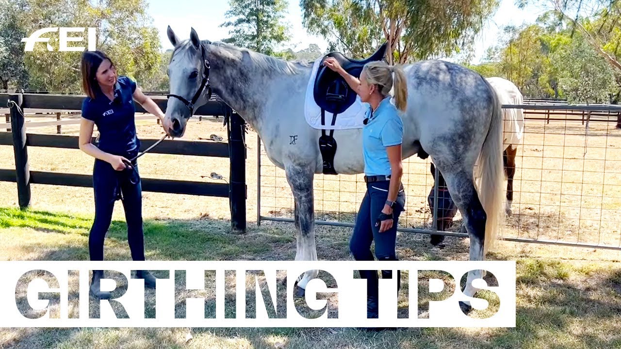 Girthing your saddle - not as simple as it sounds! w/ @HanEquestrian