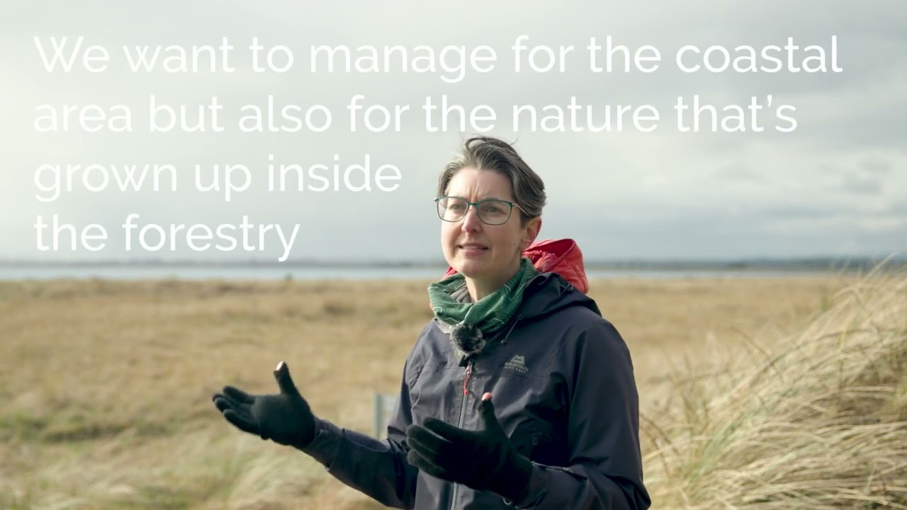 The Raven: Meet the People Working on Nature Restoration at This Important Location
