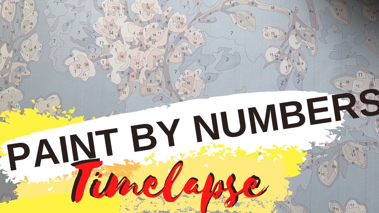 Paint by numbers birds TIMELAPSE - From start to finish paint by numbers timelapse