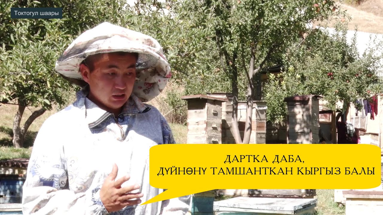 ДАРТКА ДАБА, ДҮЙНӨНҮ ТАМШАНТКАН КЫРГЫЗ БАЛЫ