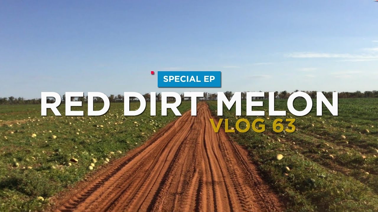 #TRAVELOGY RED DIRT MELON - FARM NT AUSTRALIA (WHV Australia)