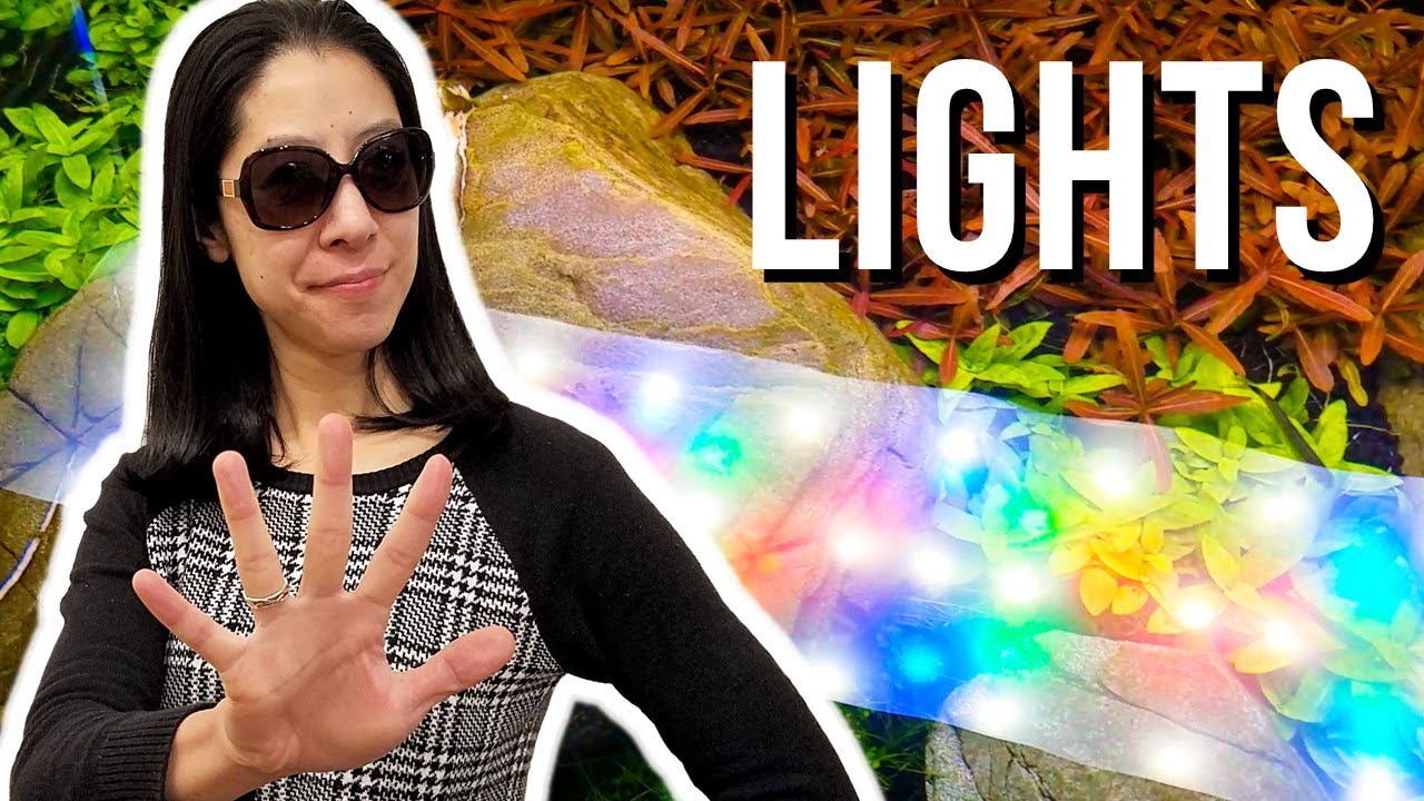 5 Things I Wish I Knew About Planted Aquarium Lighting