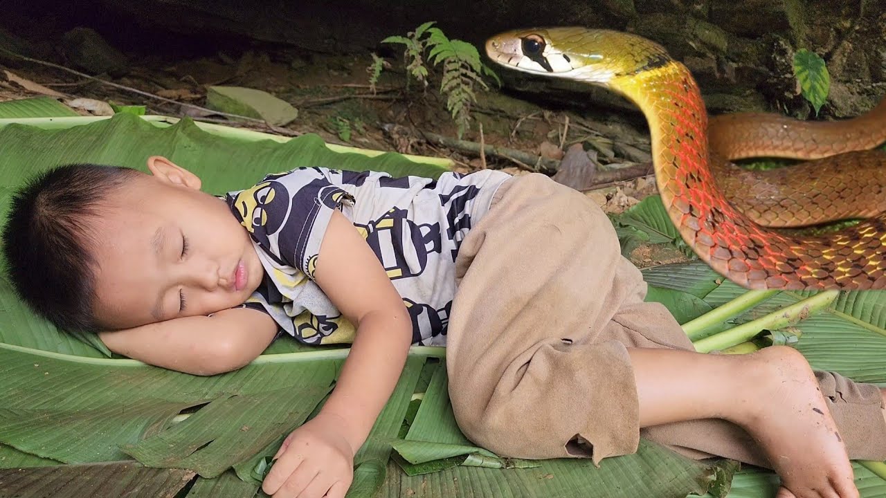 The wandering life of two orphan brothers - eating wild food in caves