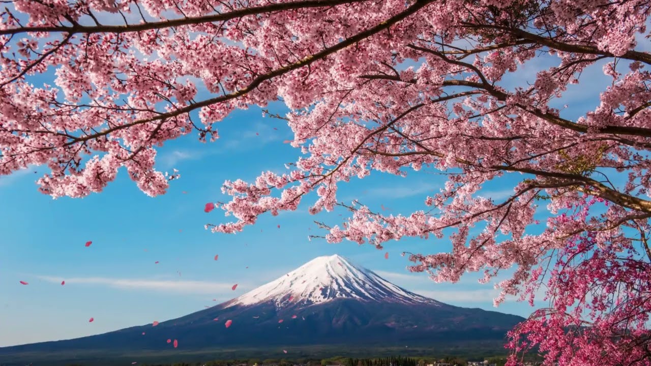 Japan live wallpaper | beautiful mount fuji