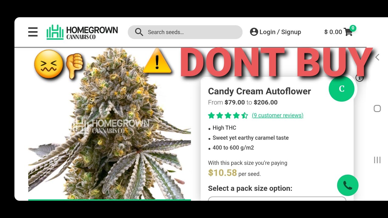 DONT BUY , Candy Cream Auto From Homegrown Cannabis Co,  ( TV420 📺 )
