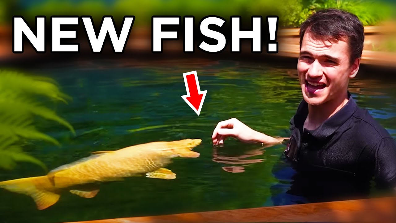 The Huge Pond Is Finished! Stocking My New Fish! (pt 4)