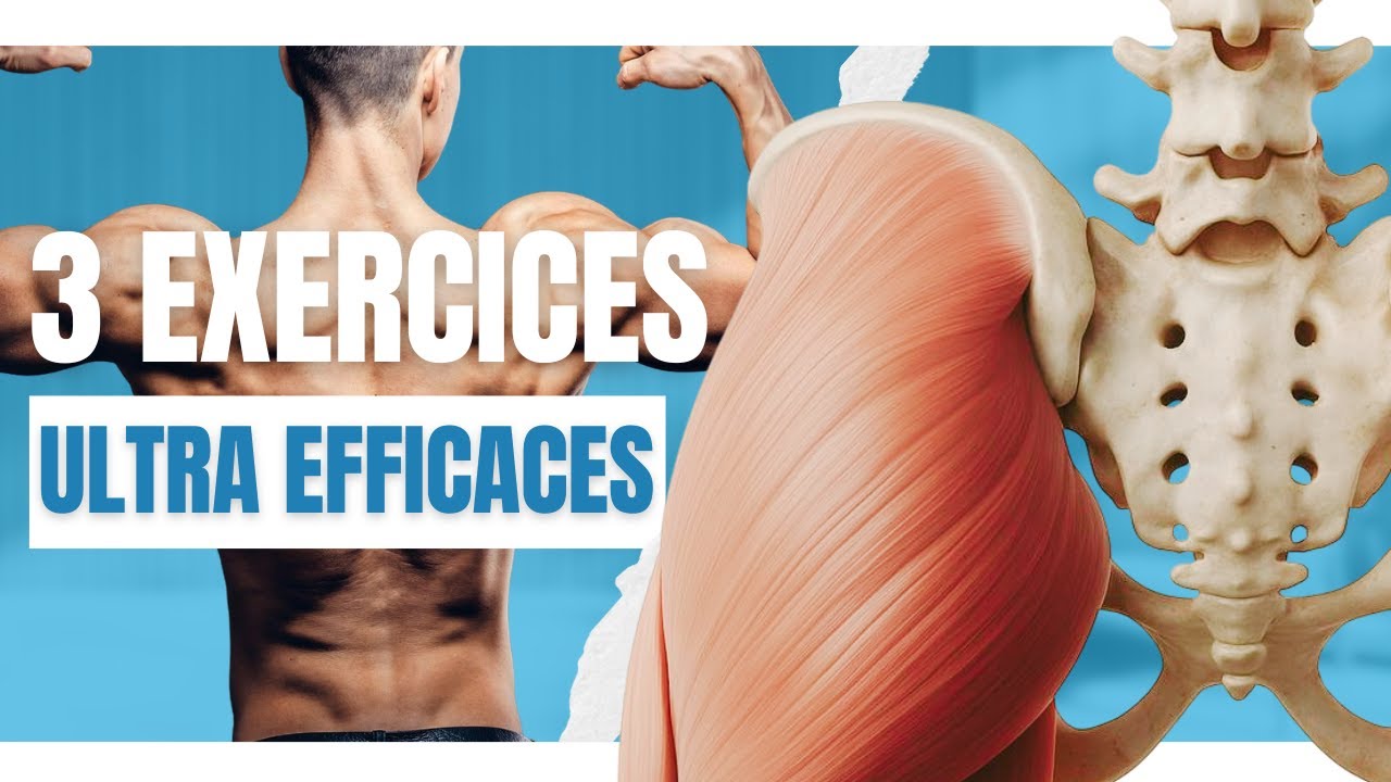 Douleur au BAS DU DOS ? Renforce tes FESSIERS ! (3 exercices Ultra efficaces)