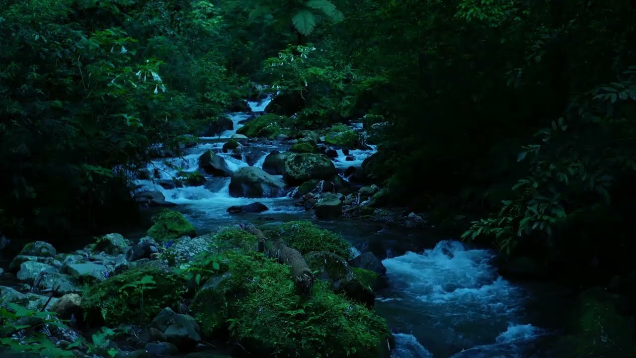 Healing Nature: Relaxing Forest River and Calming Water Sounds for Stress Relief (4K) 🌿💦