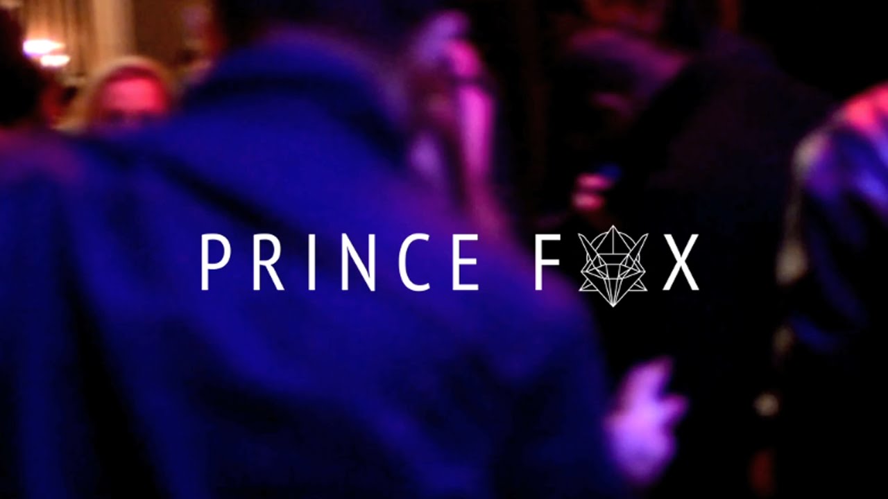 Prince Fox - West Coast Back To The Future Tour