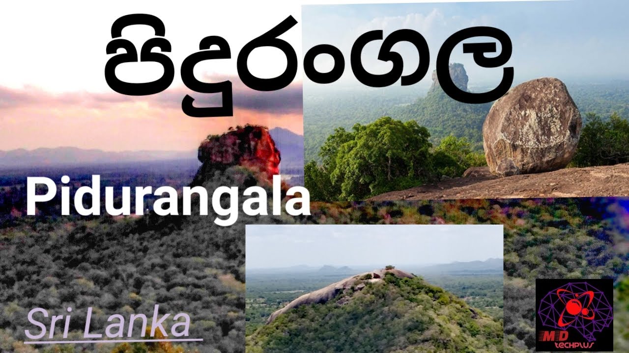 Pidurangala | Sri Lanka | Sigiriya | MD techplus | #pidurangala | #mdtechplus