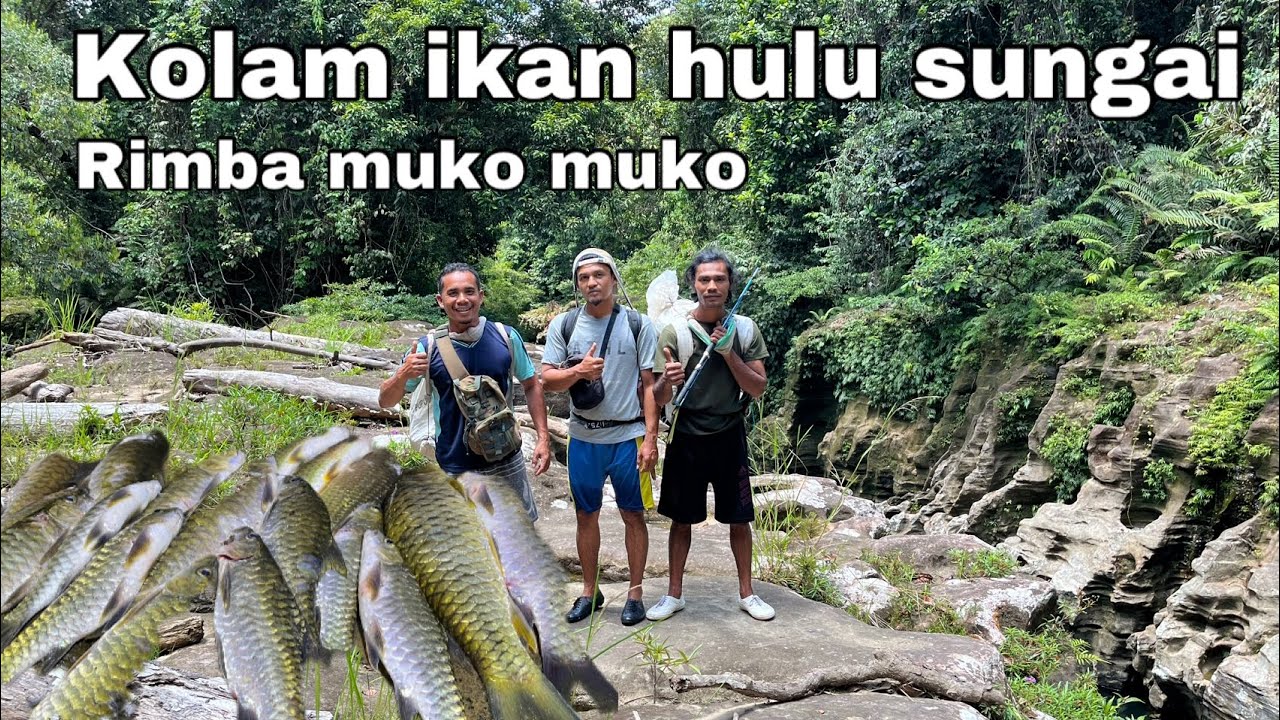 2 Hari 2 Malam Berpetualang Masuk Rimba Muko Muko Bengkulu Bersama @ujangfishing dan &anuakfishing