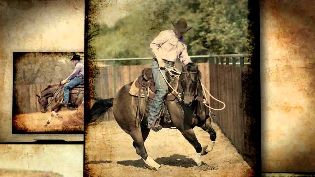 Who is Clinton Anderson?