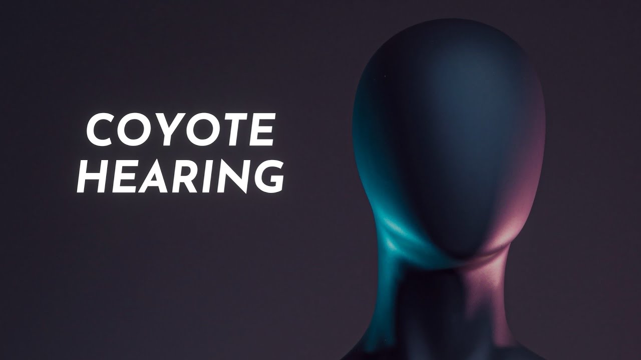 Coyote Hearing Music 🎵 48 songs (2hs) [Youtube Audio Library]