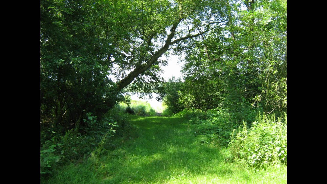 Bilder aus der Samtgemeinde Barnstorf