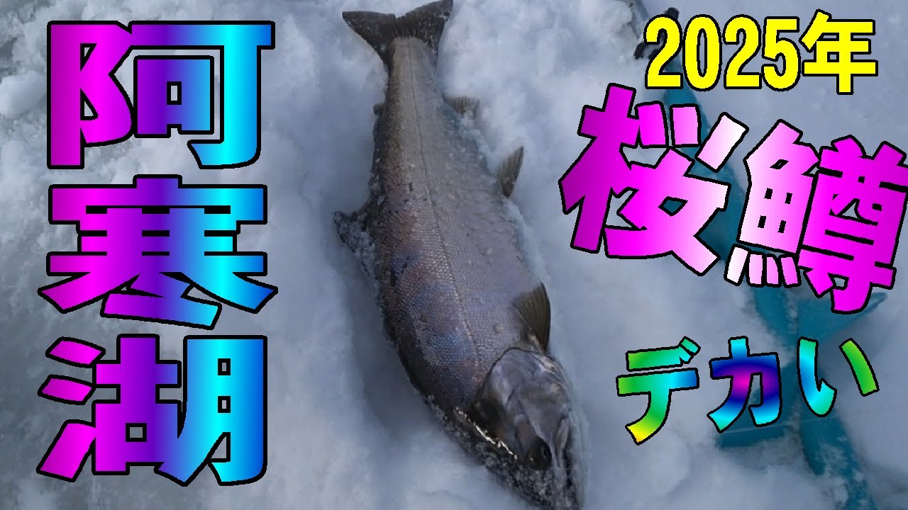 2025.2.1　【阿寒湖のビックなサクラマス】ポテンシャルが桁違い　ワカサギ釣りメジャーエリア：糠平湖・金山湖・網走湖・朱鞠内湖
