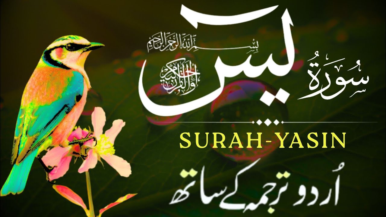 Surah Yaseen with Urdu Translation | Episode 92 | Deep & Clear Quran Recitation with Meaning
