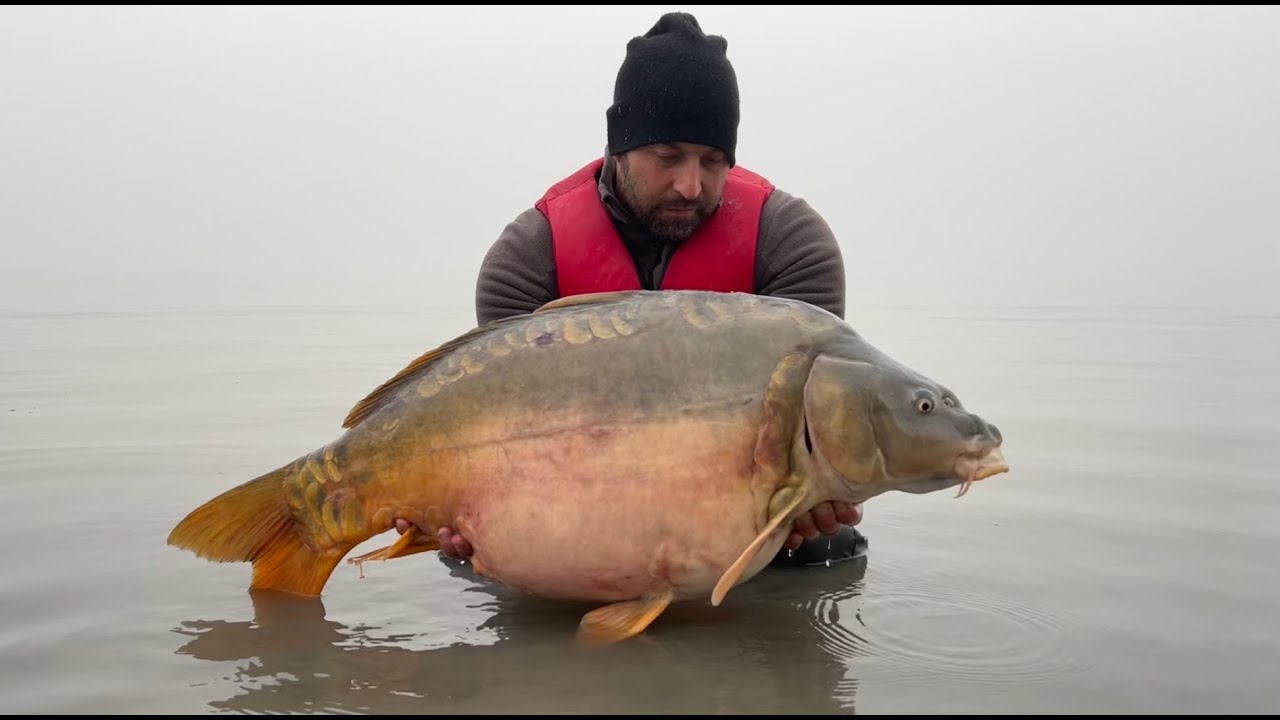 Fishinda Team - Pontyhorgászat a Balatonon - 1. rész - Keszthely