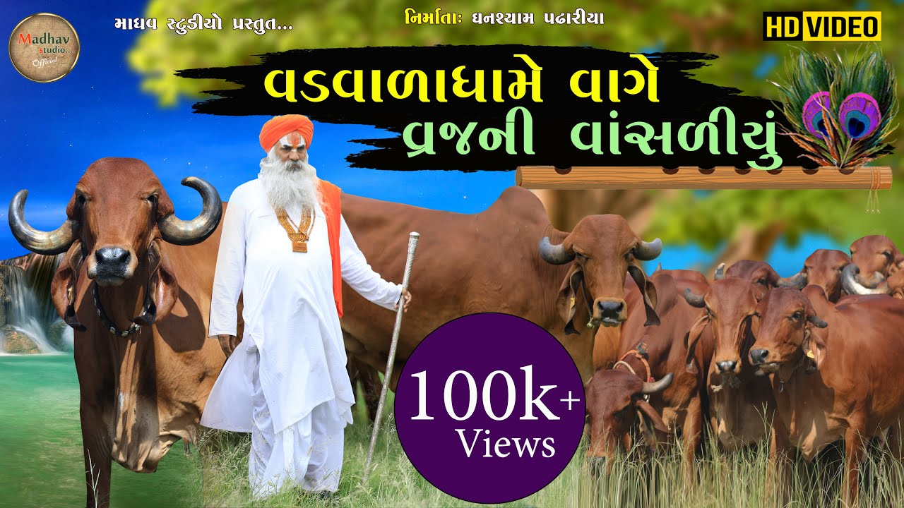 વડવાળાધામે વાગે વ્રજની વાંસળીયુ ll Kavi Rabari ll Vateshwar Gaushala Dudhrejdham ll Madhav Studio