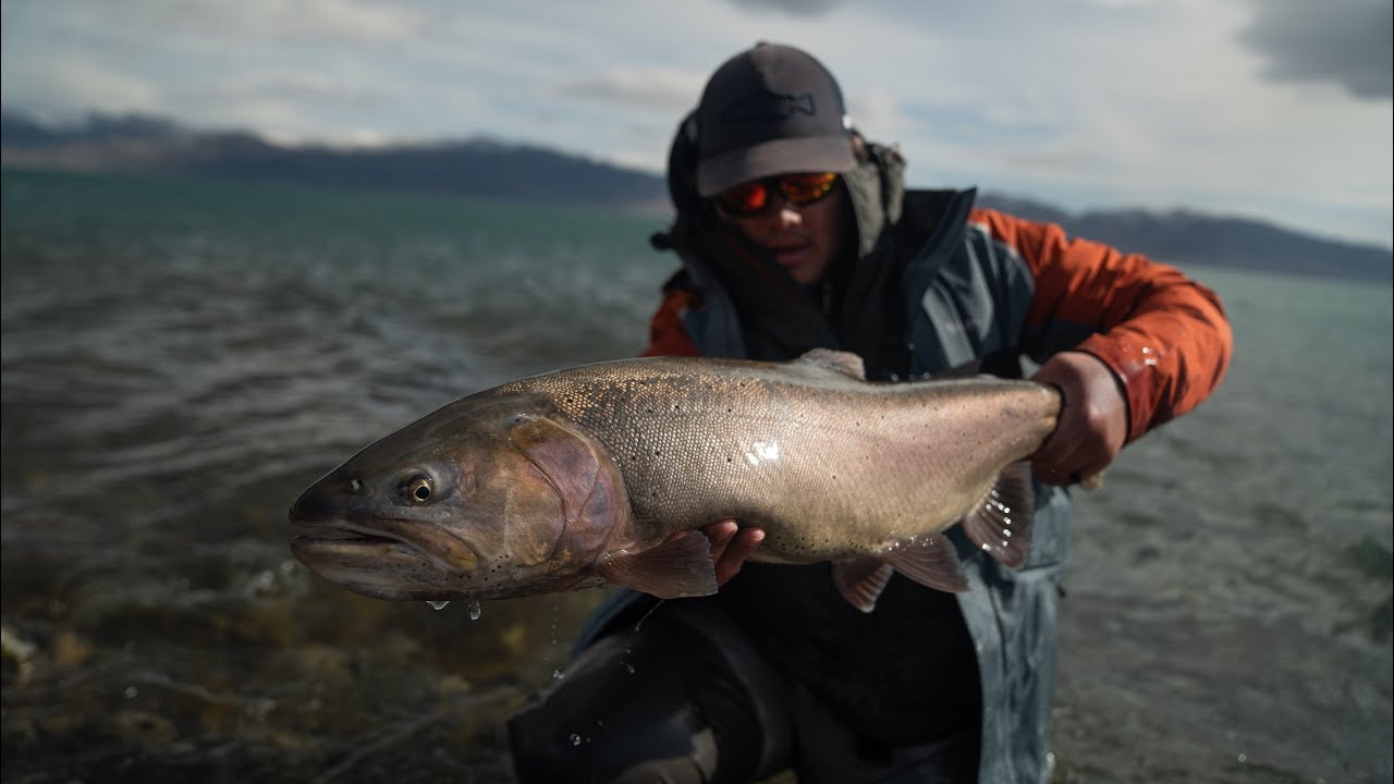Spring fly fishing Pyramid Lake (part 2) HUGE FISH EATS ON VIDEO