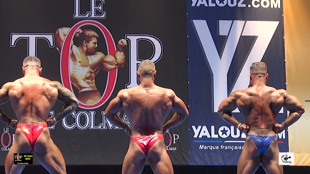 TOP DE COLMAR SECONDE PARTIE CLASSEMENT PODIUMS