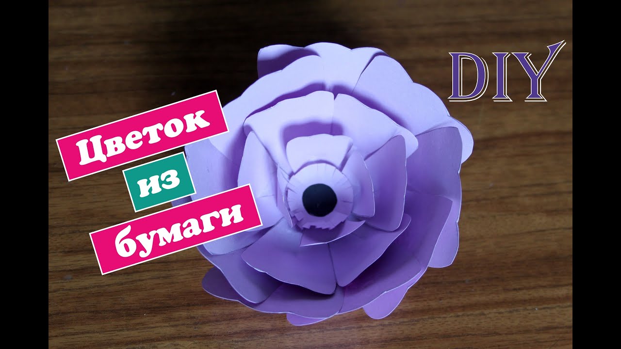 Diy: Простой цветок из бумаги / paper flower / Mary F