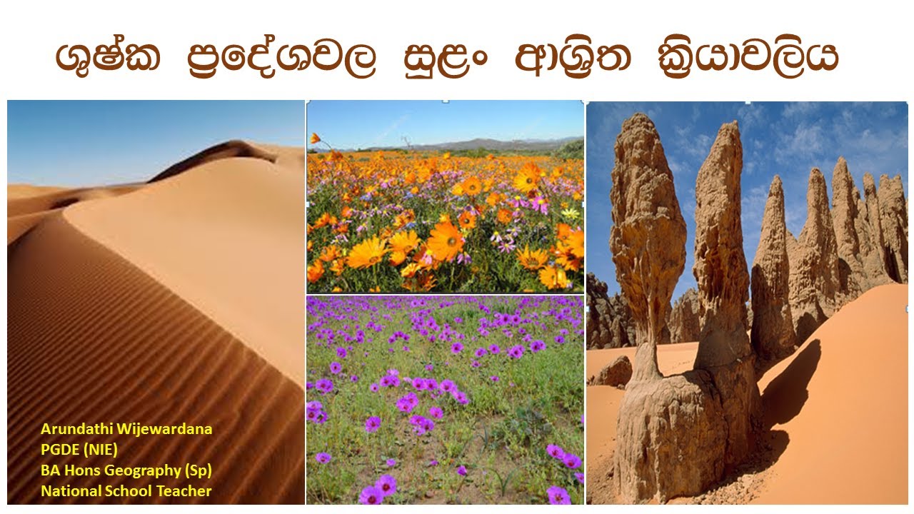 What Are Desert Landforms?🌍Fun & Easy Guide to Desert Features කාන්තාර A/L O/L Geography #a/lgeogra
