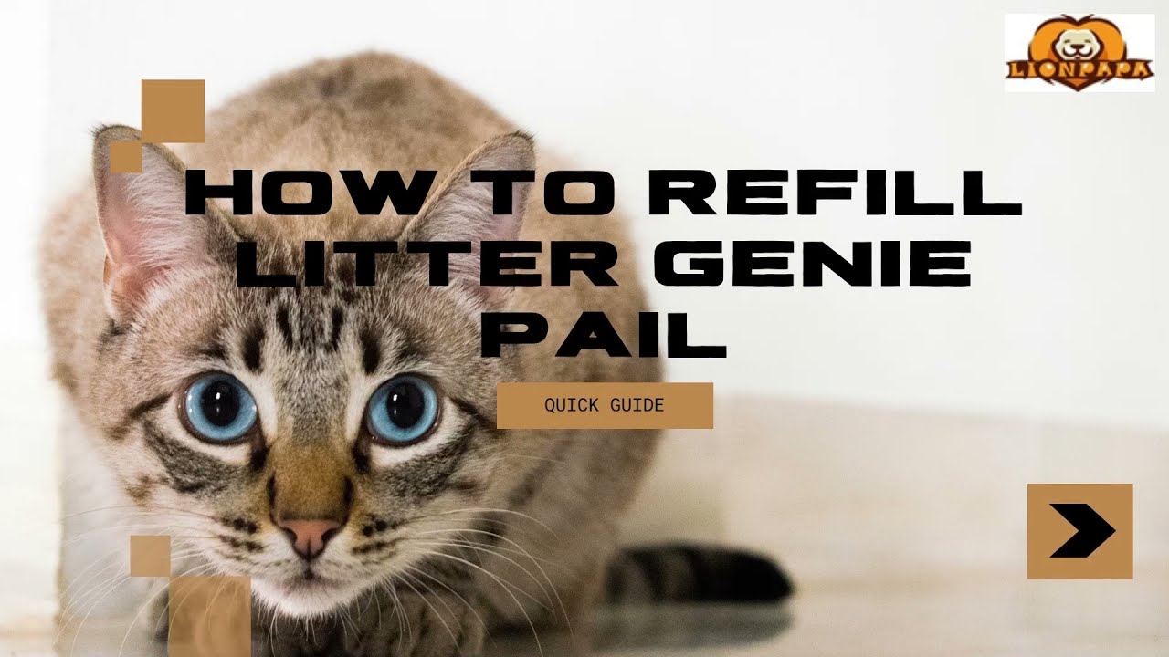 How to Use Litter Genie with Lionpapa Refills