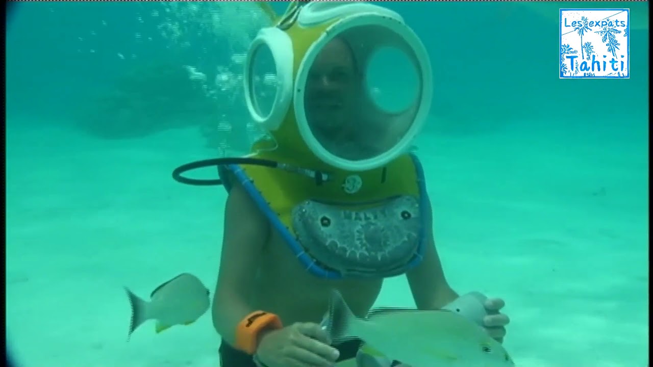 Plongée lagon Aquablue Moorea