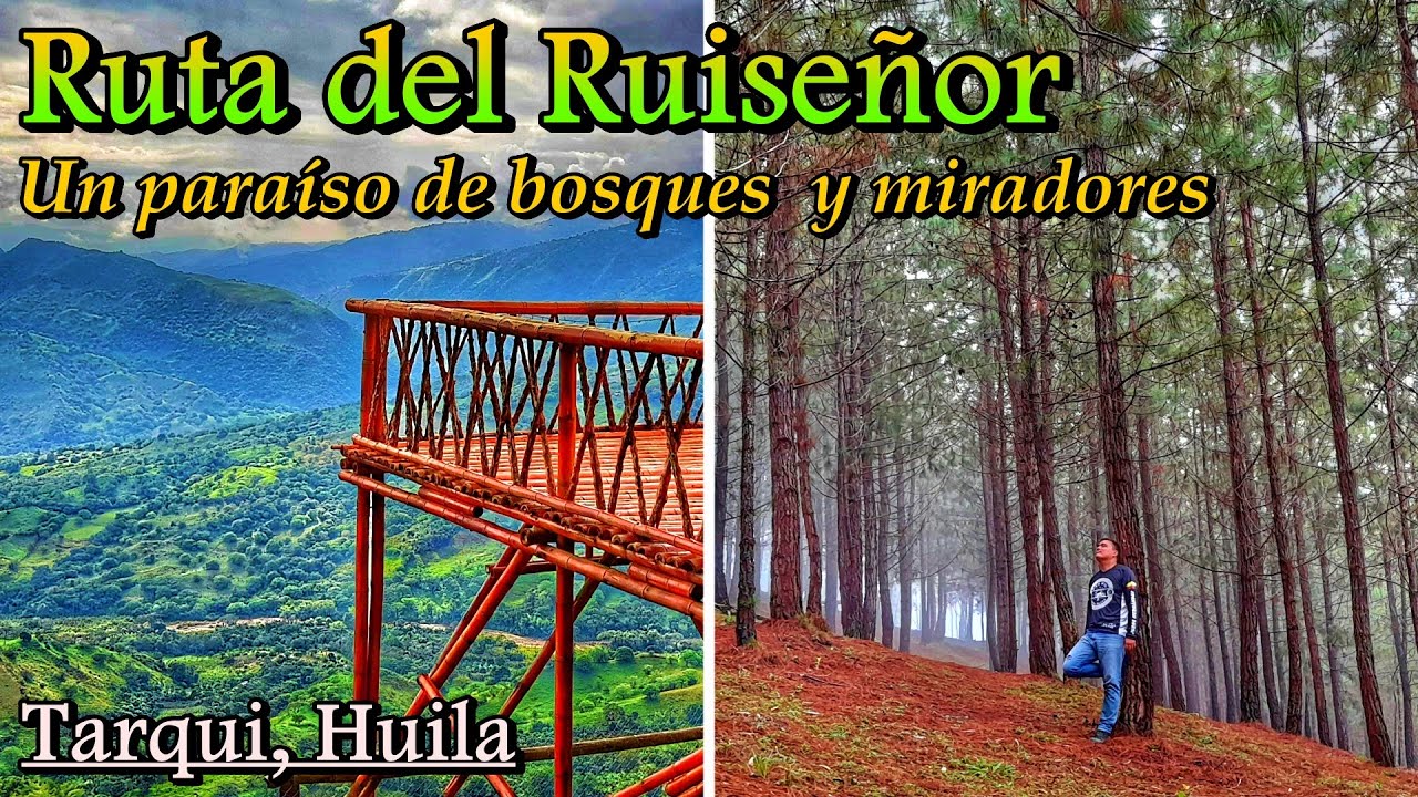 RUTA DEL RUISE&Ntilde;OR: UN PEQUE&Ntilde;O PARA&Iacute;SO EN EL MUNICIPIO DE TARQUI, HUILA