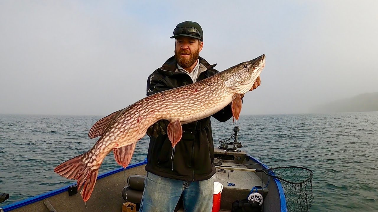 Chasing Fall Northern Pike