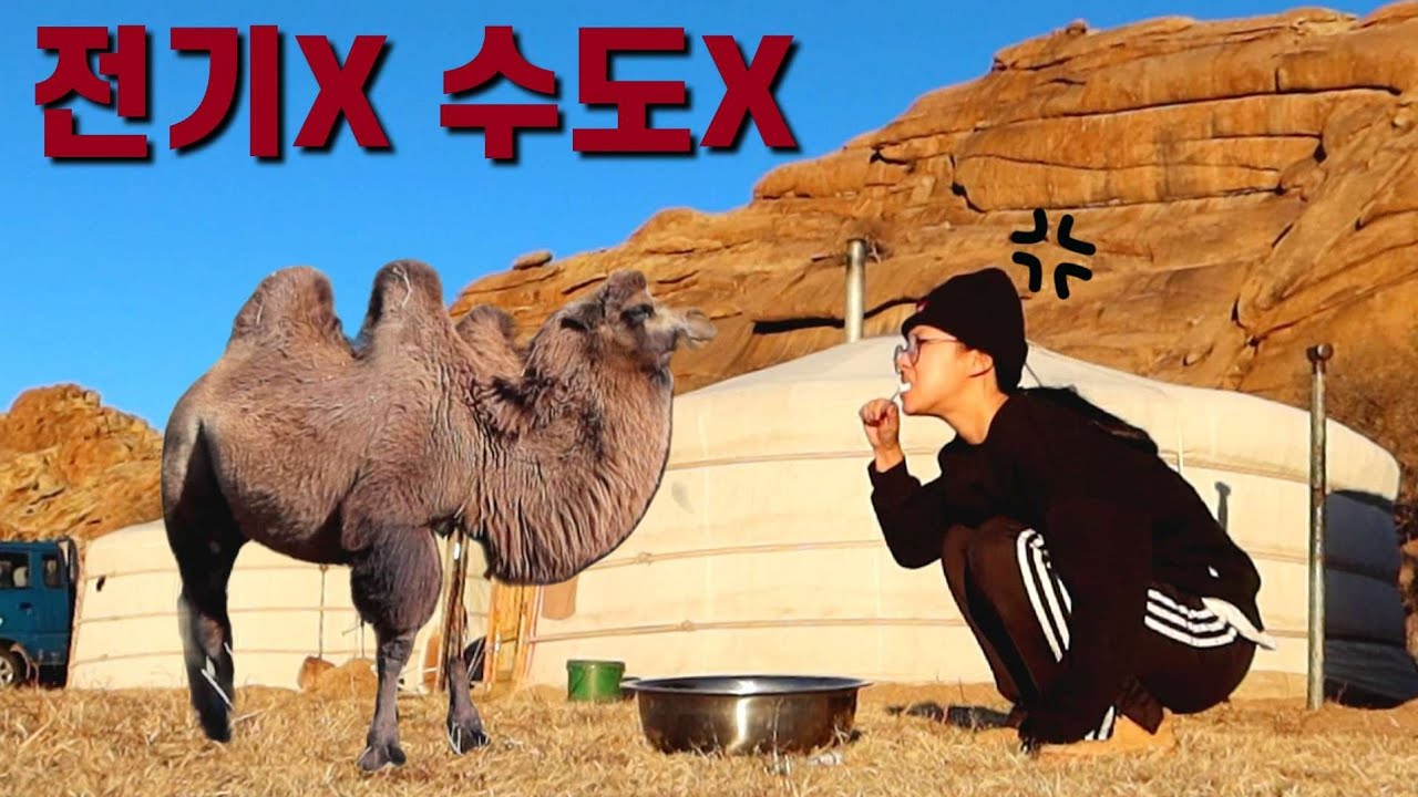 인간은 적응의 동물..!! 날것(?) 그대로의 몽골 찐 유목생활 생존기 [몽골2]