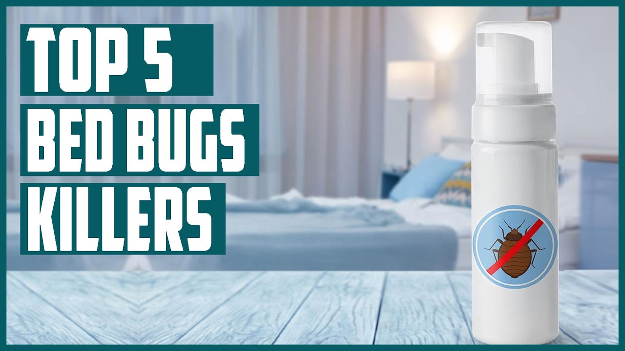 Best Bed Bugs Killers 2023 | Top 5 Bed Bug Killer Spray