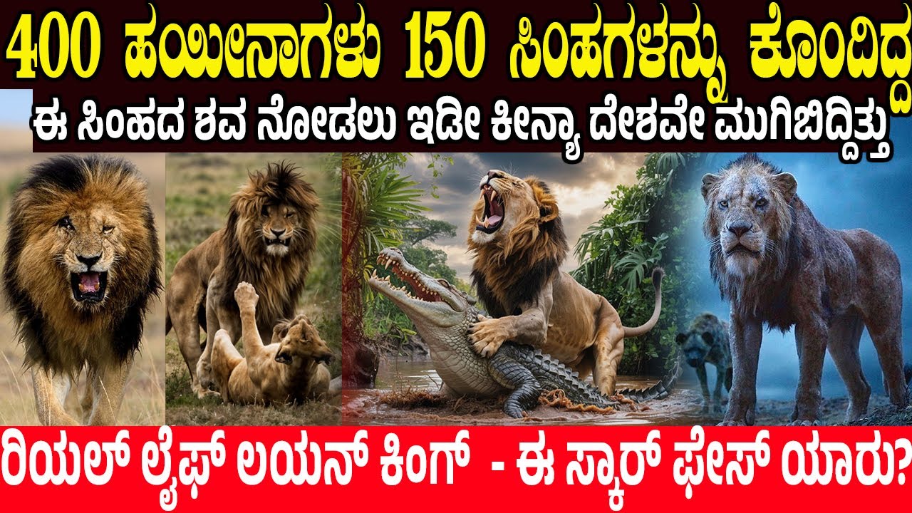 400 ಹಯೀನಾಗಳು 150 ಸಿಂಹಗಳು.!  ಈ ಸಿಂಹದ ಶವ ನೋಡಲು ಇಡೀ ಕೀನ್ಯಾ ದೇಶವೇ ಮುಗಿಬಿದ್ದಿತ್ತು | Scarface - Lion King