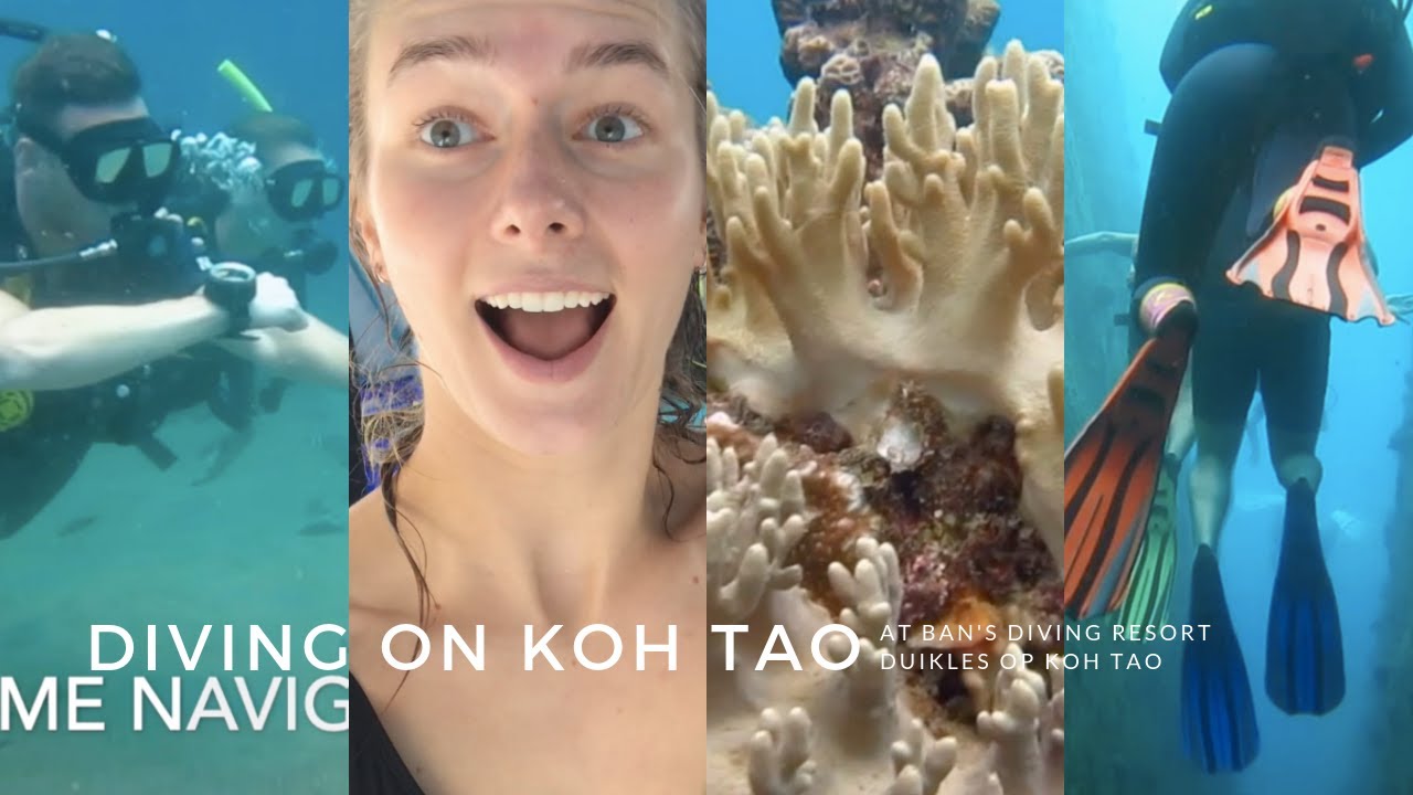 THAILAND - DUIKEN op KOH TAO + Tattoo in BANGKOK?!