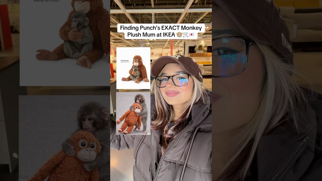 😱 FINAL VIRAL PUNCH MONKEY!