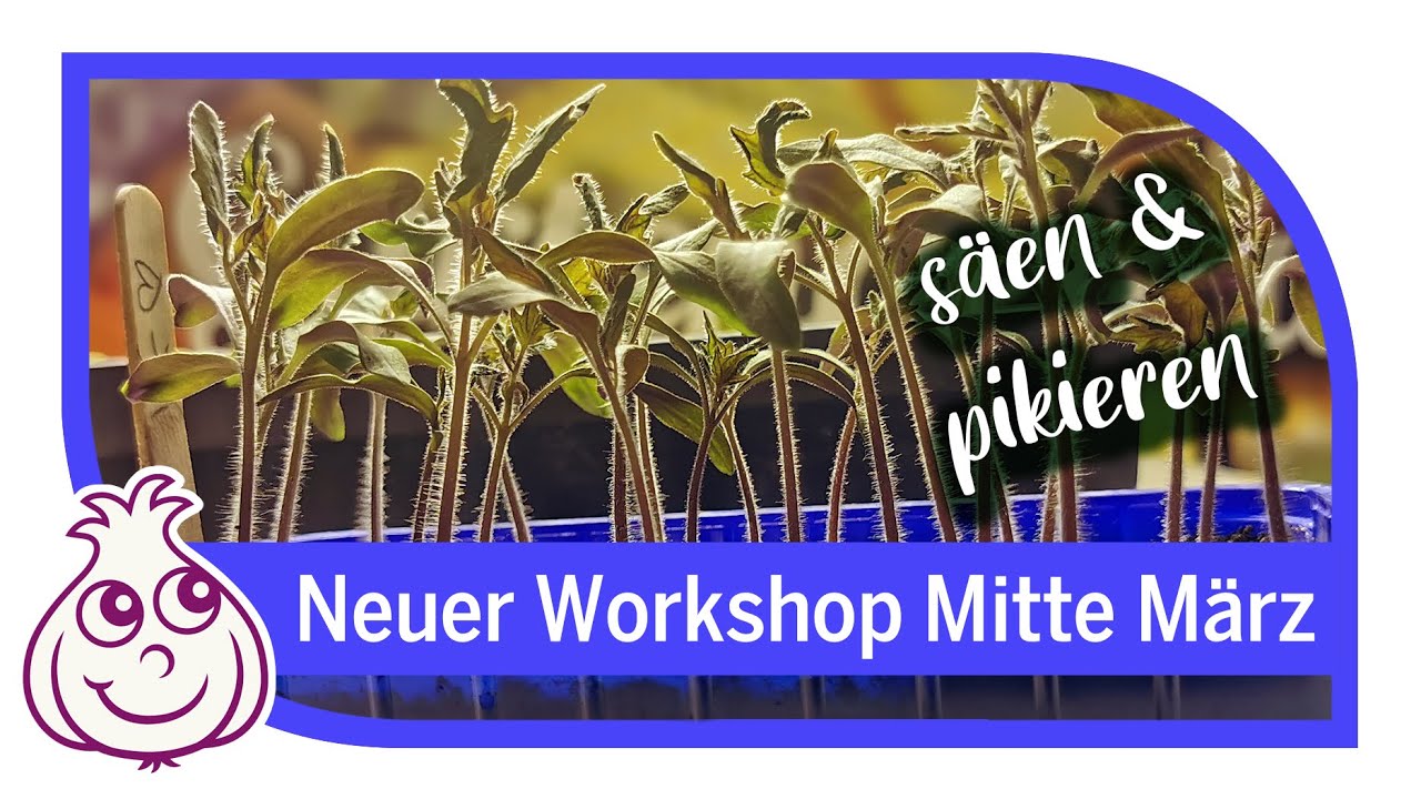 Aussaat im März im Freiland | Spinat Radischen anbauen | Gemüseanbau Workshop Teil 10