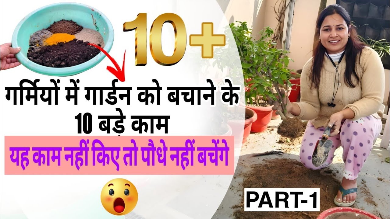 यह काम नहीं किए तो पौधे नहीं बचेंगे🌿❌ Summer Garden Maintenance✅