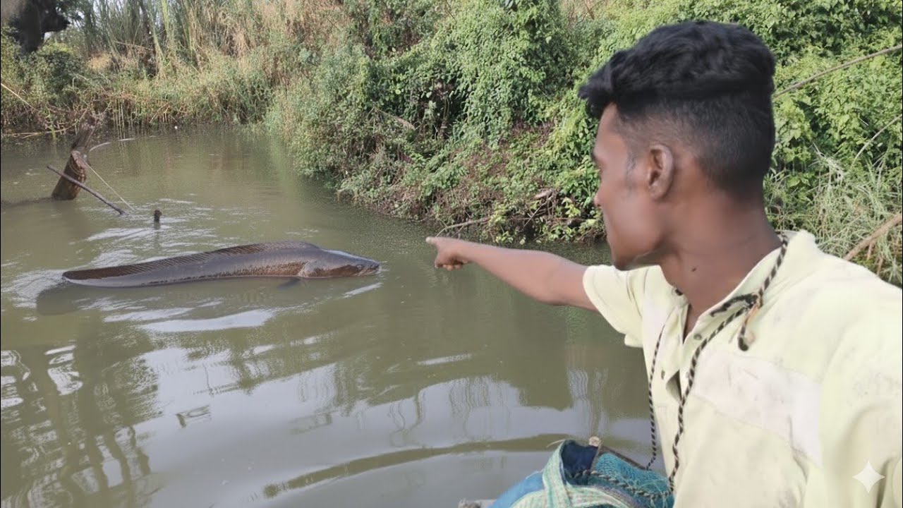  पहिल्यांदाच🤩इतक्या मरळी🐟भेटल्या नुसत्या मोठ्या मोठ्या एकाच ठिकाणी3मरळी घरी बनवली पिंकीने मरळ🥘रेसिपी