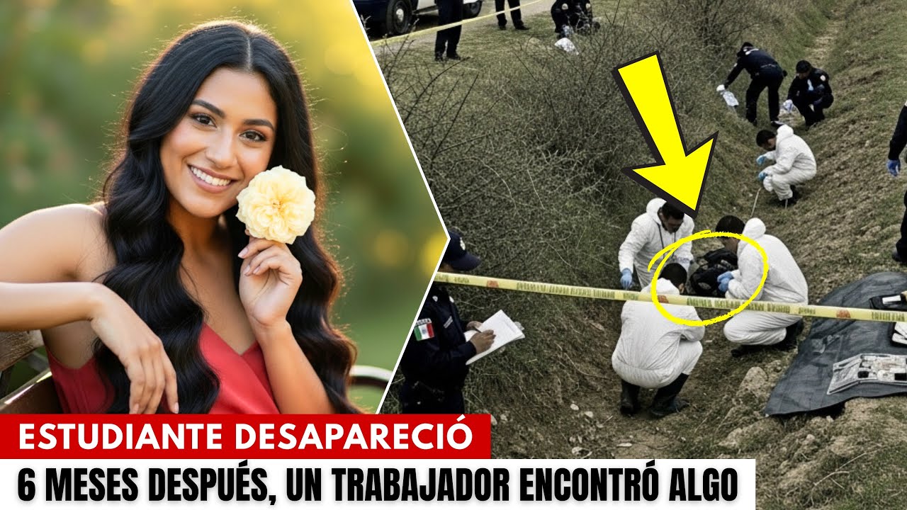 Estudiante desapareció en un centro comercial hasta que un trabajador encontró algo impactante