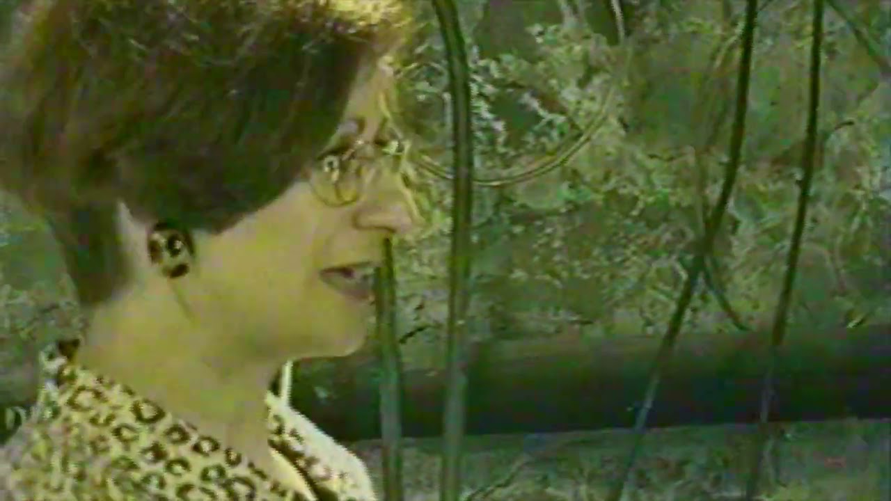 Colorized 1998 Wash In on Melrose TV