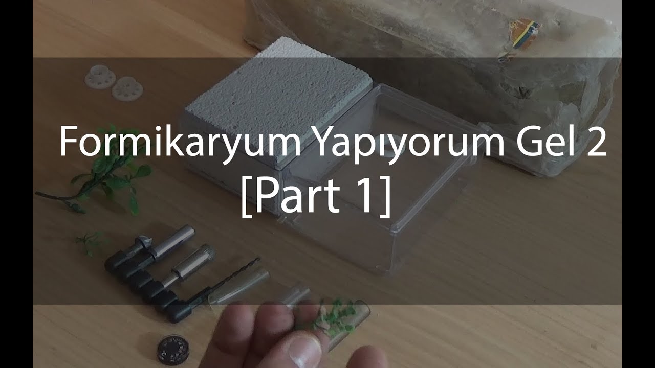 Formikaryum Yapıyorum Gel! - Part 1