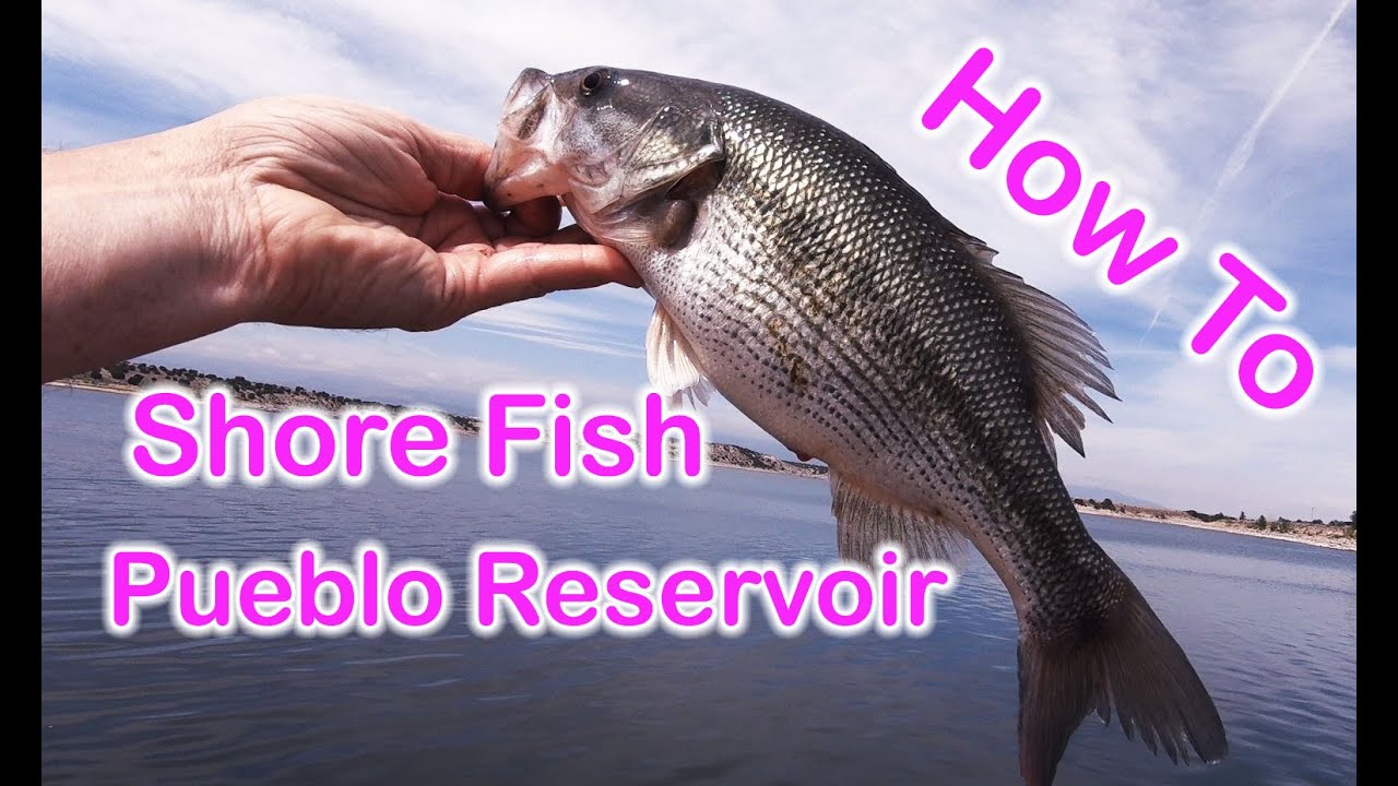 Shore Fishing Pueblo Reservoir HOW TO easy tips & tricks to catch fish