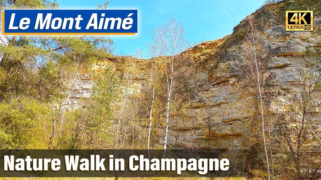 Discover Le Mont Aimé: A Hidden Walk Near Champagne!