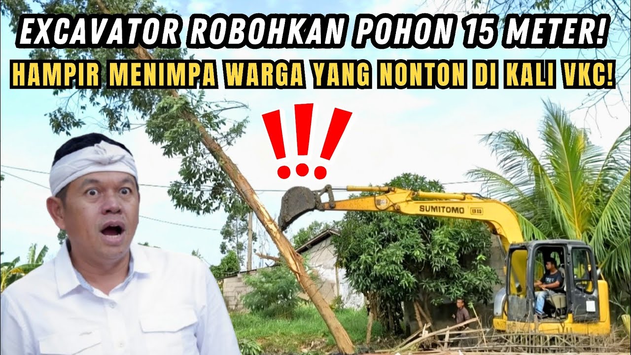 HEBOH❗POHON 15 METER DI ROBOHKAN EXCAVATOR KALI VKC❗HAMPIR KENA WARGA YANG NONTON NORMALISASI❗